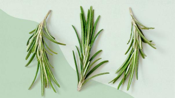 6 loại thảo mộc dùng để làm gia vị tốt nhất cho sức khỏe