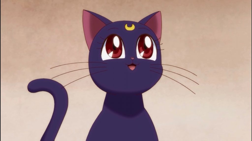 Tất nhiên là Luna từ Sailor Moon