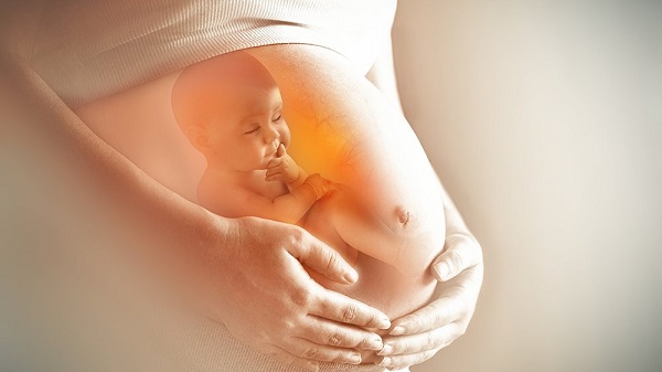 Quá trình phát triển các giác quan của thai nhi và những điều bà bầu nên làm - Ảnh 1.